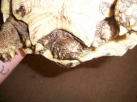 100_2051.jpg