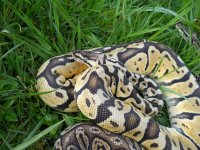 DSCN1888.jpg