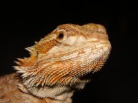 DSC04143.JPG