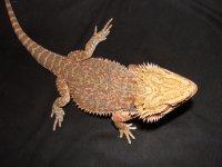 DSC04142.JPG
