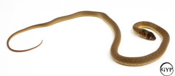 3 (1 of 1).jpg