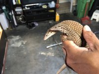 CA97C718-DD3D-469F-9FCE-9B00AD50C11A.jpg