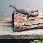 thumbnail (7).jpg