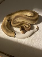 E786F0BF-7FBD-4760-8E48-5FEAD8DBA1F4.jpg