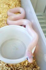 20180618_193743.jpg