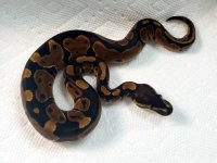 20210630_104025.jpg