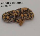 EC21-9MC-LB.jpg