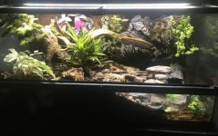 RECS_Paludarium.jpg RECS_Paludarium.jpg
