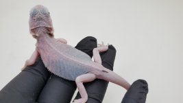 20210715_214305.jpg