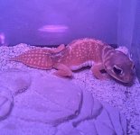 IMG_0709.jpg