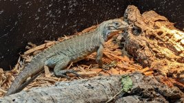200718022_322694772677833_5836419211733363905_n.jpeg
