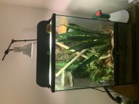 tank1.jpg
