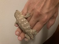 ED3AFB27-1AF3-404F-8D8D-4D50DDEBA1A1.jpg