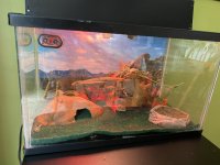 D0F6EDA8-B2B1-4E0E-9CBE-2A8721790F62.jpg