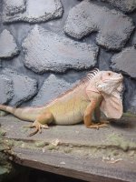 IMG_20210922_075512906.jpg
