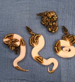 20210930_072507.jpg