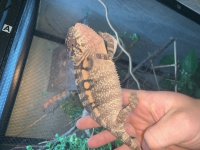 image0.jpeg