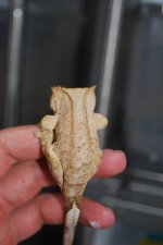DSC_0005.jpg