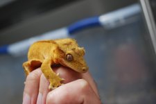 DSC_0013.jpg