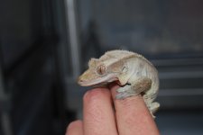 DSC_0025.jpg
