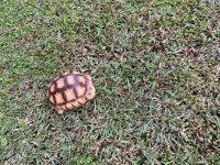 tiny guy-3.jpg