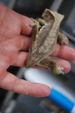 DSC_0029.jpg