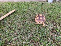 tiny guy-4.jpg