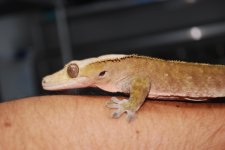DSC_0009.jpg