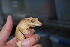 DSC_0089.jpg