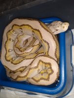 IMG_20220116_205330666.jpg