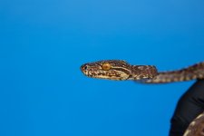 IMG_8537.jpg