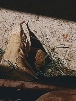 IMG_20211121_125705366.jpg