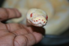 IMG_8193.jpg