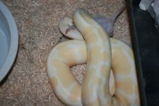 IMG_8196.jpg