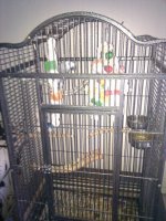 IMG_20101128_085534.jpg