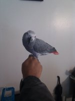IMG_20101128_085802.jpg