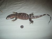 IMG_0049.jpg