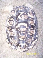 100_4034.jpg