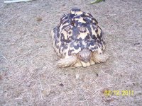 100_4038.jpg
