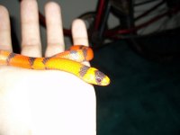 100_0622.jpg