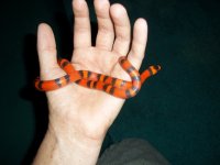 100_0626.jpg