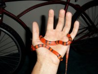 100_0621.jpg