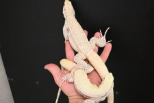 DSC_5337.jpg
