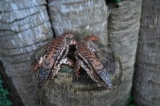 DSC_5172.jpg