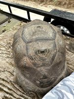 IMG_2860.jpg