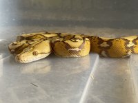 IMG_0396.jpg