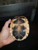 Image 2.jpeg