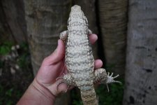 DSC_4620.jpg