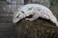 DSC_4592.jpg