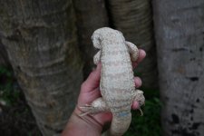 DSC_4599.jpg